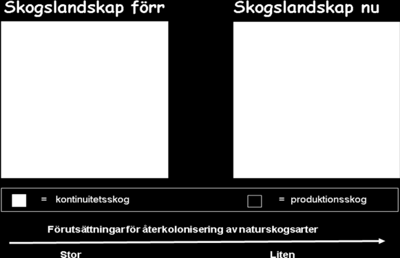 Figur 1. Betydelsen av biologiskt arv en kontinuitet är olika i olika landskap.