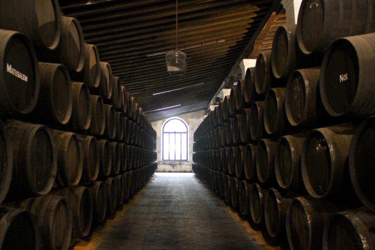 VIN & MAT 22 Andalusien är Spaniens varmaste region och har traditionellt alltid varit förknippat med starka, alkoholrika viner. Allt sedan Fenicierna 1100 år f.kr.
