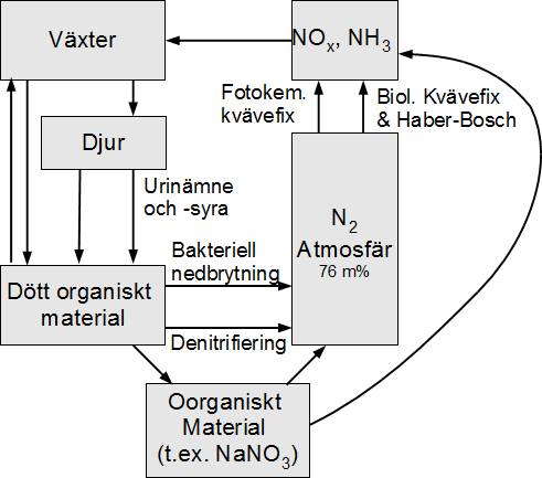 Kväves kretslopp