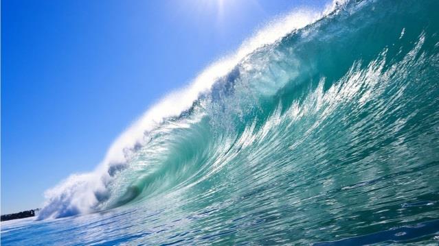 OCEANS Filmen handlar om okända djur i det stora havsdjupet.