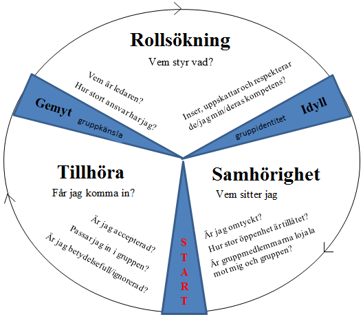 3.4.5 FIRO gruppens utveckling FIRO, Fundamental Interpersonal Relationship Orientation, är teorin som förklarar vad som påverkar gruppens utveckling mot enighet, samarbete och effektivitet.