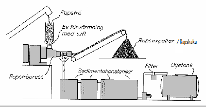 Figur 1.Schematisk bild av en anläggning för framställning av rapsolja (Bernesson, 2007). Oljemängden som kan utvinnas i processen påverkas av flera faktorer.