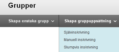 Länknamn: Som standard får länken gruppuppsättningens namn. Denna går att redigera. Tillgänglig: Ska länken vara synlig (JA) eller dold (NEJ) för användarna.