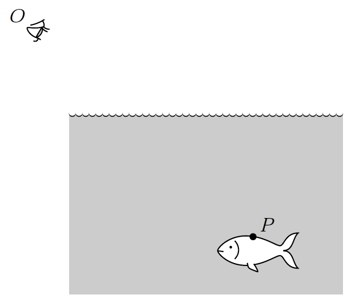 En observatör vid O tycker fisken ser ut att simma A.