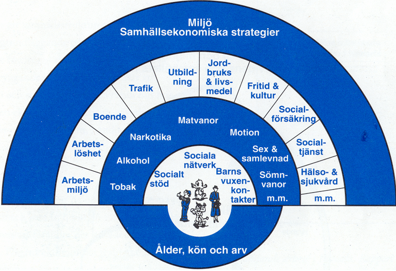 3(18) Viktiga faktorer som påverkar hälsan Genom att följa upp faktorer som påverkar hälsan istället för sjukdomar får vi en snabb indikation på hur läget är på väg att förändras.