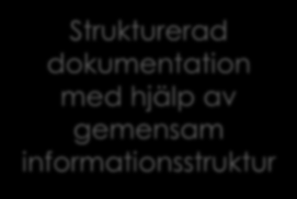 Medlet S:t Göran Strukturerad dokumentation med Gemensam hjälp av
