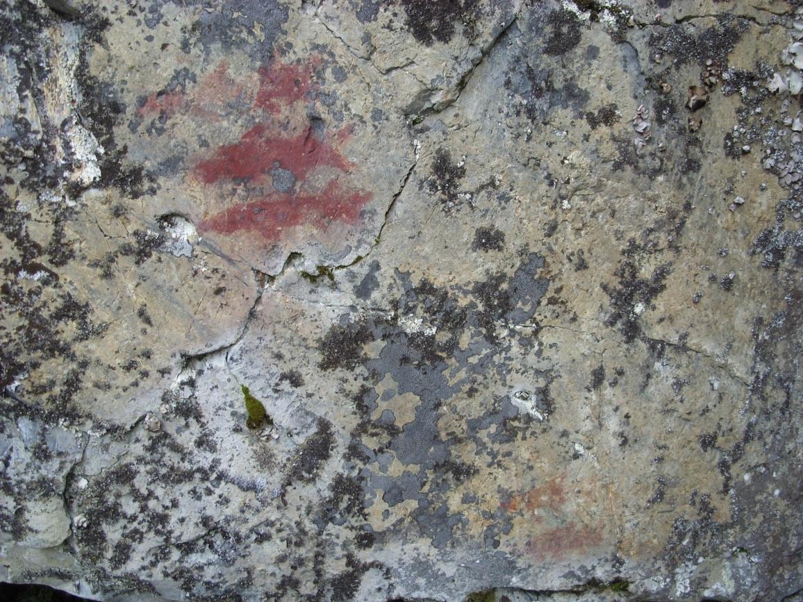Raä 118: Yta C Fig. 10.