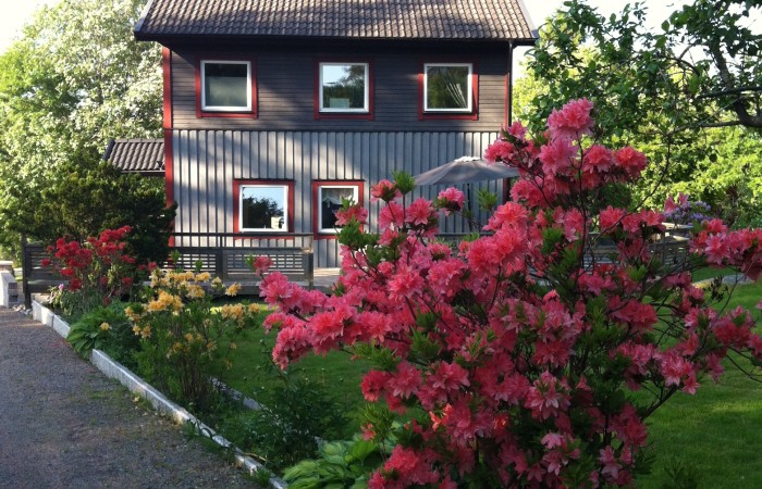 barnvänliga läget med trevliga grannar och närheten till skola och dagis, bra