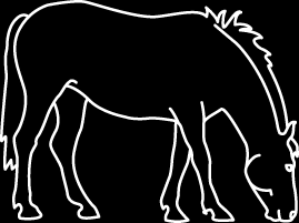 2016-04-01 Läs mer på Jordbruksverkets webbplats; Djur/häst på SJV:s webb: http://www.jordbruksverket.se/amnesomraden/djur/olikaslagsd jur/hastar.4.389b567011d9aa1eeab80008.