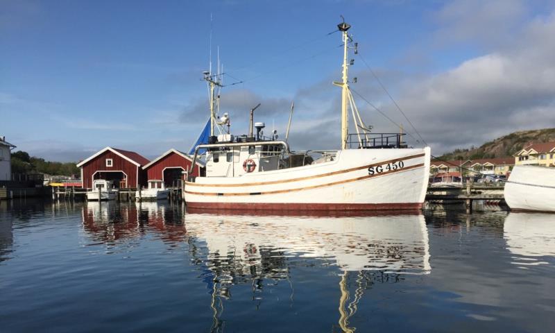 Båtfisketur Onsdag 3 augusti kl 10-14 Gratis V. 31 Vi samlas vid kyrkans lokal Ankaret i Hamburgsund och går sedan gemensamt ner till fiskebåten.