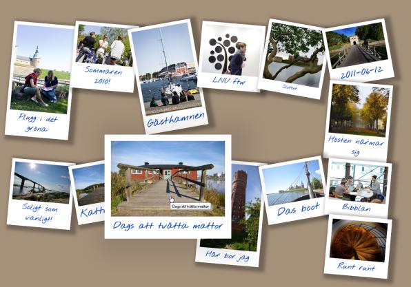 Du ska i denna uppgift skapa ett fotogalleri där bilder verkar ligga utslängda på en yta. När muspekaren dras över en bild så ska denna förstoras tillsammans med sin bildtext.
