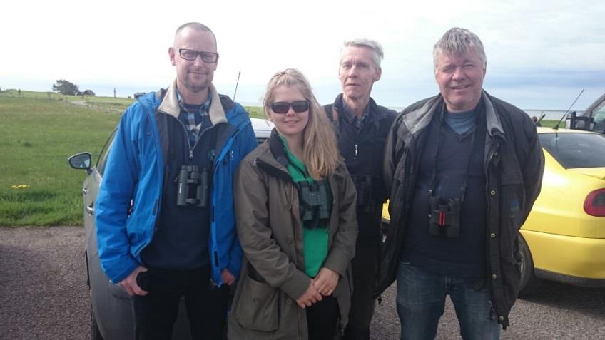 Vid Kastlösa sågs en ängshök-hanne fint från bilen och vid Penåsa hade vi turen att få in några fler resarter så här i resans elfte timme.