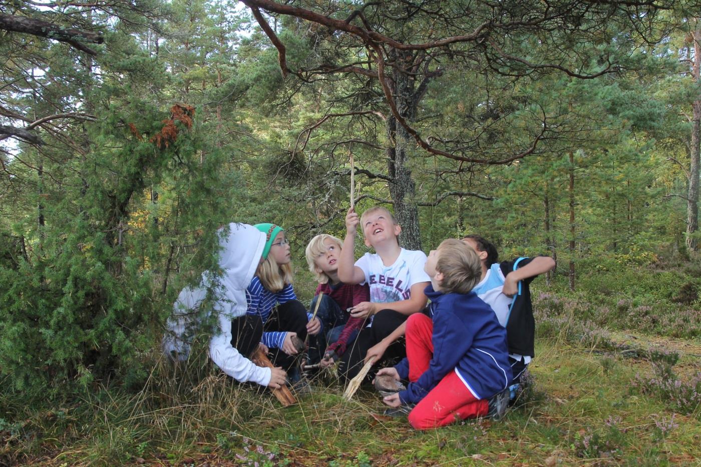 Starta naturskola Vägar