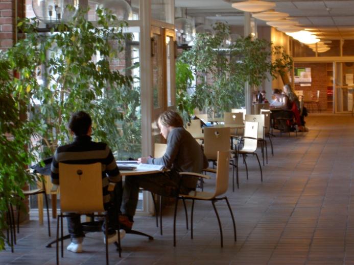 Välkommen in i studentlivet blivande Maskiningenjör. Du har nu ditt livs absolut roligaste tid framför dig tillsammans med massor av vänner som du kommer att träffa under studietiden.