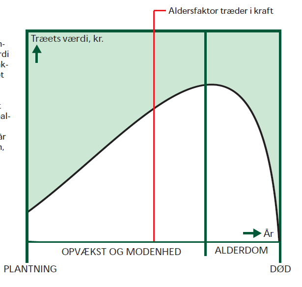 Ålder