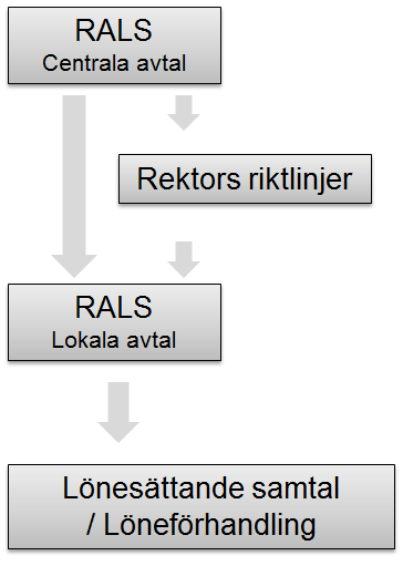 3.2 Lönerevision Lönerevisionsarbetet startar med RALS (ramavtal om löner mm för arbetstagare inom det statliga avtalsområdet mellan Arbetsgivarverket och arbetstagarorganisationer) som förhandlas