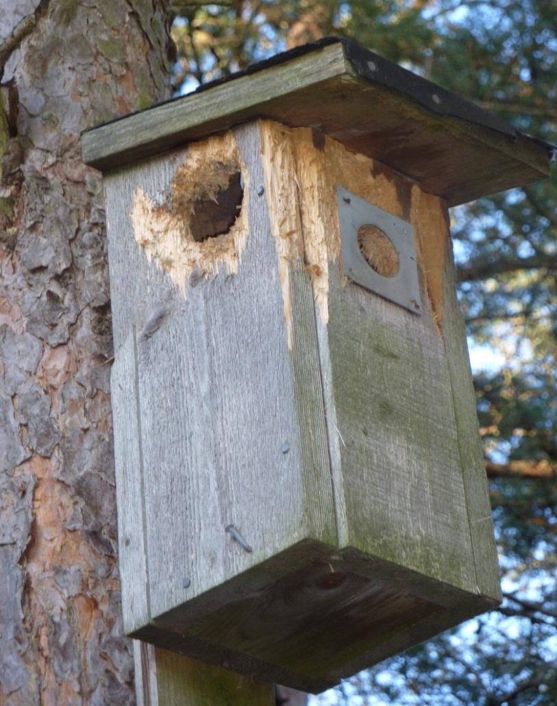 Kommunen har en enkel, snabb och smidig myndighetsutövning som möter företagens behov kontinuerligt utveckla och förstärka bemötande, tillgänglighet och kompetens inom