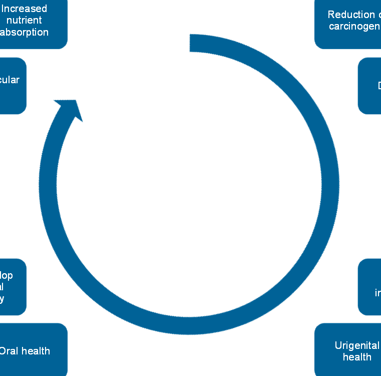 Scientific research supports health benefits of probiotics Weight management Improved digestion and wellbeing Intestinal regularity Increased nutrient absorption Reduction of carcinogens