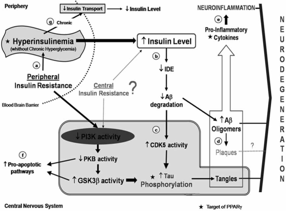 toxiner och andra skadliga ämnen, som skulle kunna orsaka insulinresistens och inflammation. Förmodligen har den drabbade nu kraftig dyslipidemi vilket leder till högre koncentrationer Aβ40-42.