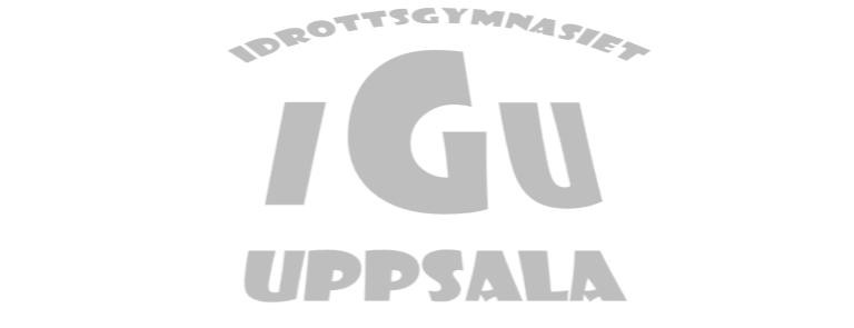 Profil idrott FOTBOLL Lärare/Instruktörer Huvudansvarig lärare för profil fotboll är Magnus Wikman som med hjälp av instruktörer/lärare ansvarar för undervisningen.