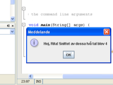 Vad är programmering? Sats: en rad i ditt program Vill att datorn ska beräkna åt mig Program = stegvis instruktioner T.ex.