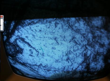 Figur 38. Ytor (där spektra tagits) i reflekterat vitt ljus av Gips2. Fluorescens finns synligt. I diagram 24 jämförs spektra av Gips2 med spektra från RRUFF.