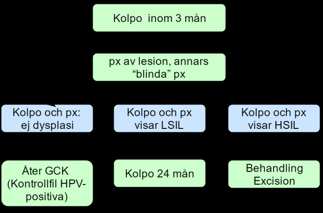 Det finns inte mycket data om kolposkopi av kvinnor med persistent HPVinfektion.