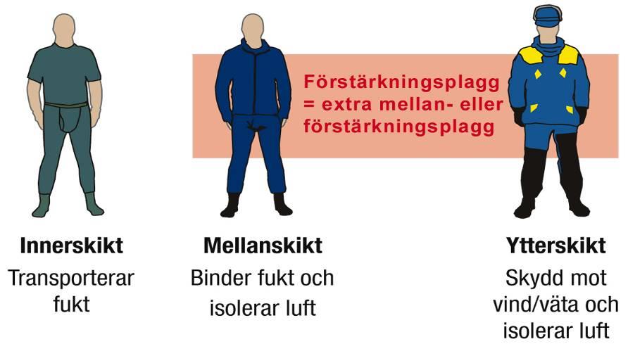 TEORETISK