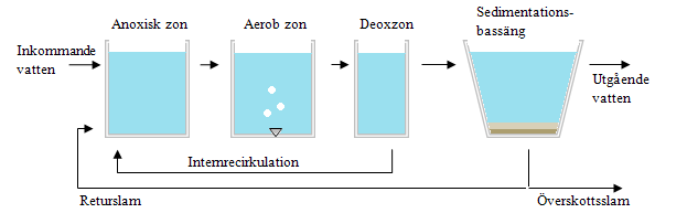 Denitrifierarna i den anoxiska zonen använder sig av organiskt kol som kolkälla för tillväxt.