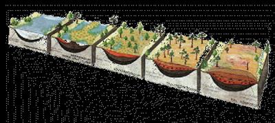 Dagordning Presentation Hasselfors Garden AB och Enbio AB Torv Vad är det? Vad används det till? Möte angående Spängermossen 2014-03-27 Planerad verksamhet Plats varför Spängermossen?