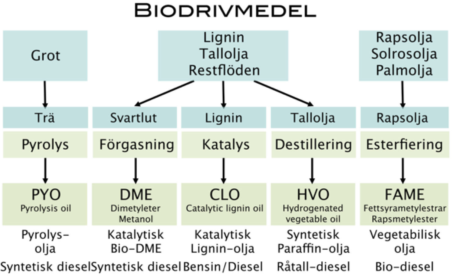 Bild från