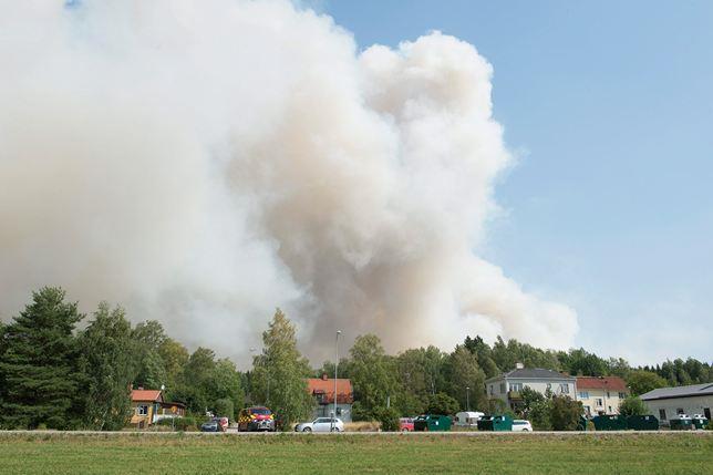 Individ, grupp och samhälle Överlevande Anhöriga till överlevande Anhöriga till omkomna