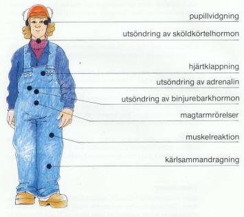 uppmärksamhet. Verksamhet där bullrande maskiner och utrustning används.