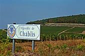 Denna dag ska vi utforska Chablis och vi kommer att besöka några välkända och kvalitetsmedvetna producenter och bekanta oss med de olika Grand Cru- och Premier Cru-vingårdarna i det mjukt böljande