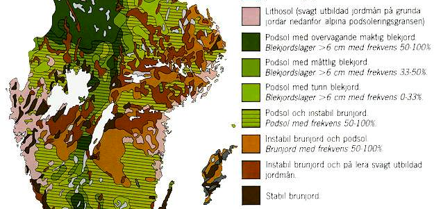 Fördelning