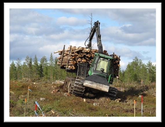 Försöksupplägg Rotflakamyran Trågalidberget 2 hyggen med 2 sluttningar (konkav och konvex) = 4 provytor (ca 15*90-110m) Körning utan skydd 3 provpunkter på