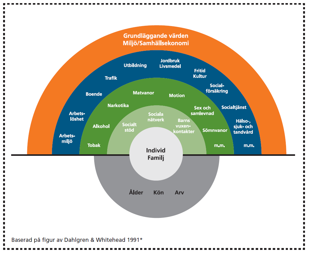 Figur 1 - Hälsans bestämningsfaktorer (Källa: Dahlgren & Whitehead, 1991). 1.2 Varför är det viktigt att förbättra folkhälsan?