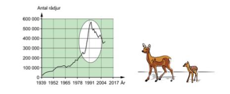 Populationsstorleken för rådjur varierar från år till år. Variationen kan bero på olika faktorer som till exempel konkurrens eller jakt.