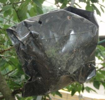 Boplatser Insekthotell för solitärbin mm Vatten