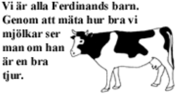 Hur gör man för att avla fram bra mjölkkor? På 1930 talet lärde människorna sig att samla sperma från tjurar.