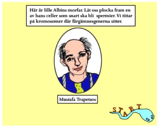 Hur går meiosen