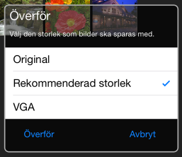valts för Bildstorlek i menyn Inställningar (sida 101).