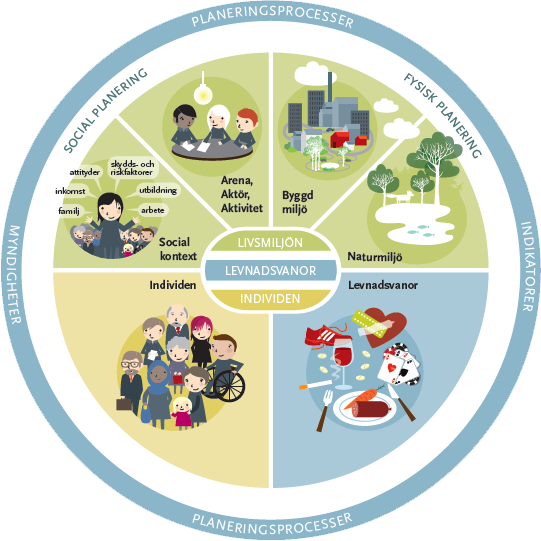 MODELL FÖR PLANERING OCH BESLUT Våra levnadsvanor utvecklas i samspel mellan olika