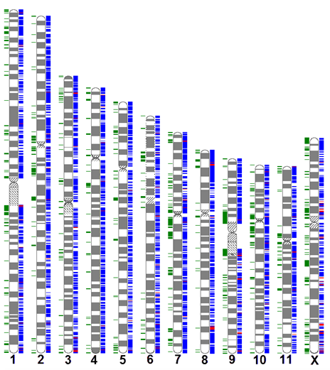 Deletions and/or duplications in non-affected