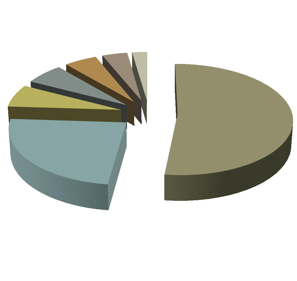 Gymnasieskolor 4% 2% 7% 6% 5% 52% Skövde gymnasium Västerhöjd Skövde gymnasium Kavelbro