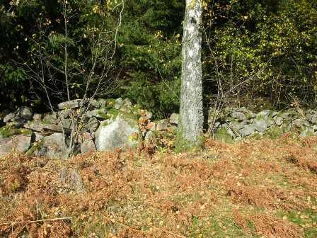 S M A R K A B 1 1 Mats Andersson, 0371-338 80, 0370-811 80,