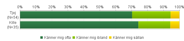 12. Hur ofta känner du så här?