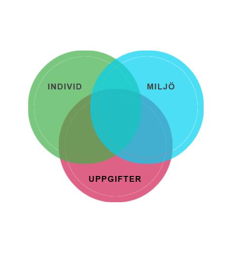 Med ICF:s (International Classification of Function, Disability and Health) begrepp kan man beskriva hur faktorer hos individen (kroppsstruktur, kroppsfunktion och