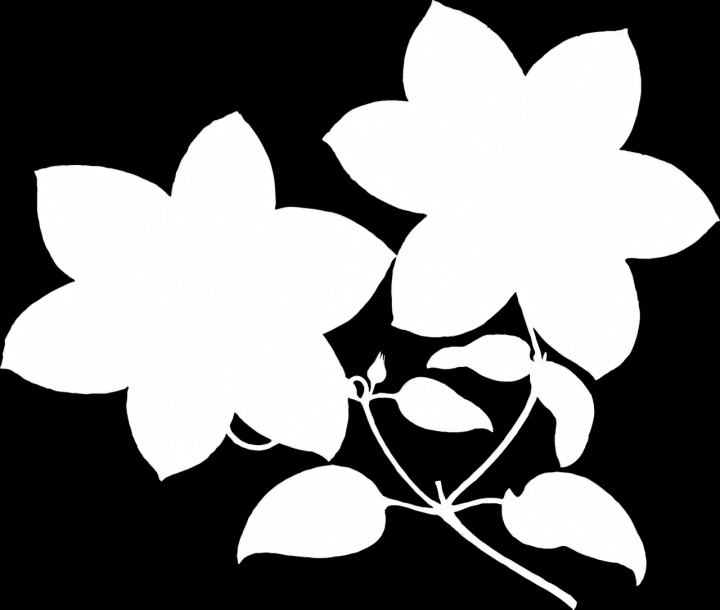 Redaktören har ordet! Imorgon är det Midsommarafton, och HSO Uppsalas kansli är stängt. Vi börjar långsamt städa undan i kontor, tömma mailkorgar, lägga upp semesterplaner.