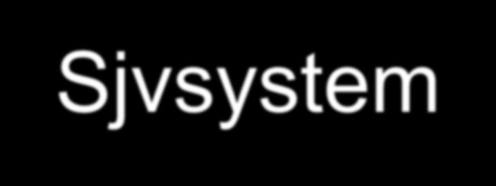 PO FM SjvSyst Projekt FM Sjvsystem